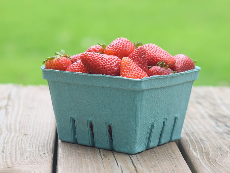 JA Kitchens QUART Green Molded Pulp Fiber Berry/Produce Vented Basket (20 Pieces) - Image 2