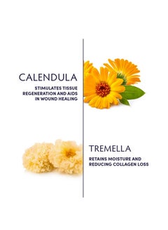 Naturopathica Calendula & Tremella Nourishing Body Butter With Vitamin E Daily Lotion For Dry And Sensitive Skin 6 Fl Oz  - Image 3
