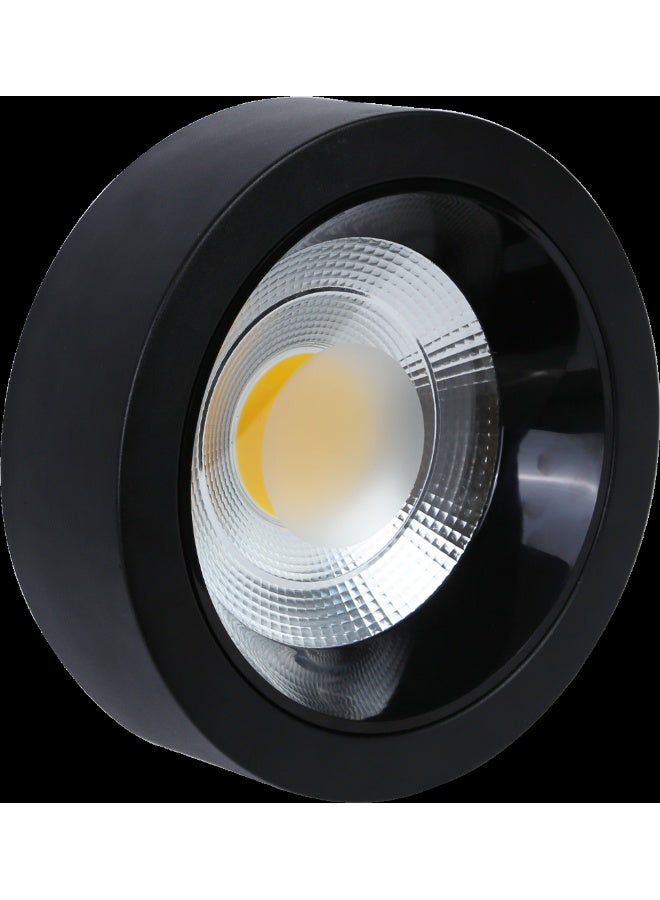 TOEFL Visible anti-glare lamp, black frame, white lighting color, 30 watts, 30 cm, TOEFL  - Image 2