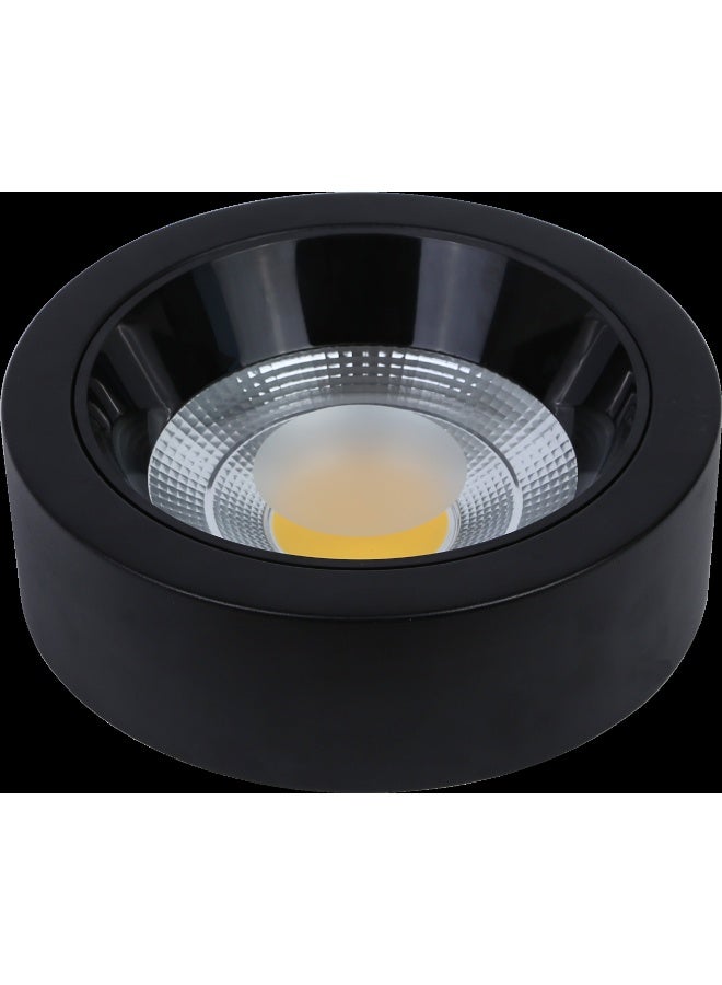 TOEFL Visible anti-glare lamp, black frame, white lighting color, 30 watts, 30 cm, TOEFL  - Image 1