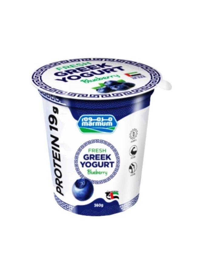 Greek Style Yoghurt, Blueberry - 360g, UAE
