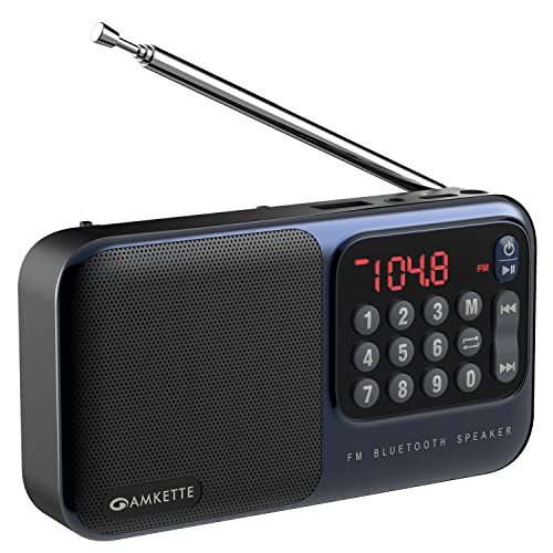 Amkette Pocket Mate Digital FM Radio with Bluetooth Speaker - Type C Charging, Antenna, Multiple Playback 8 Hours Playtime, and Number Pad (Headphone Jack, SD Card, USB Input) (Blue) - Image 1
