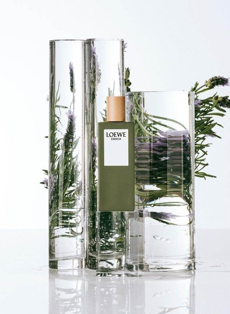LOEWE Esencia EDT 150ml - Image 2
