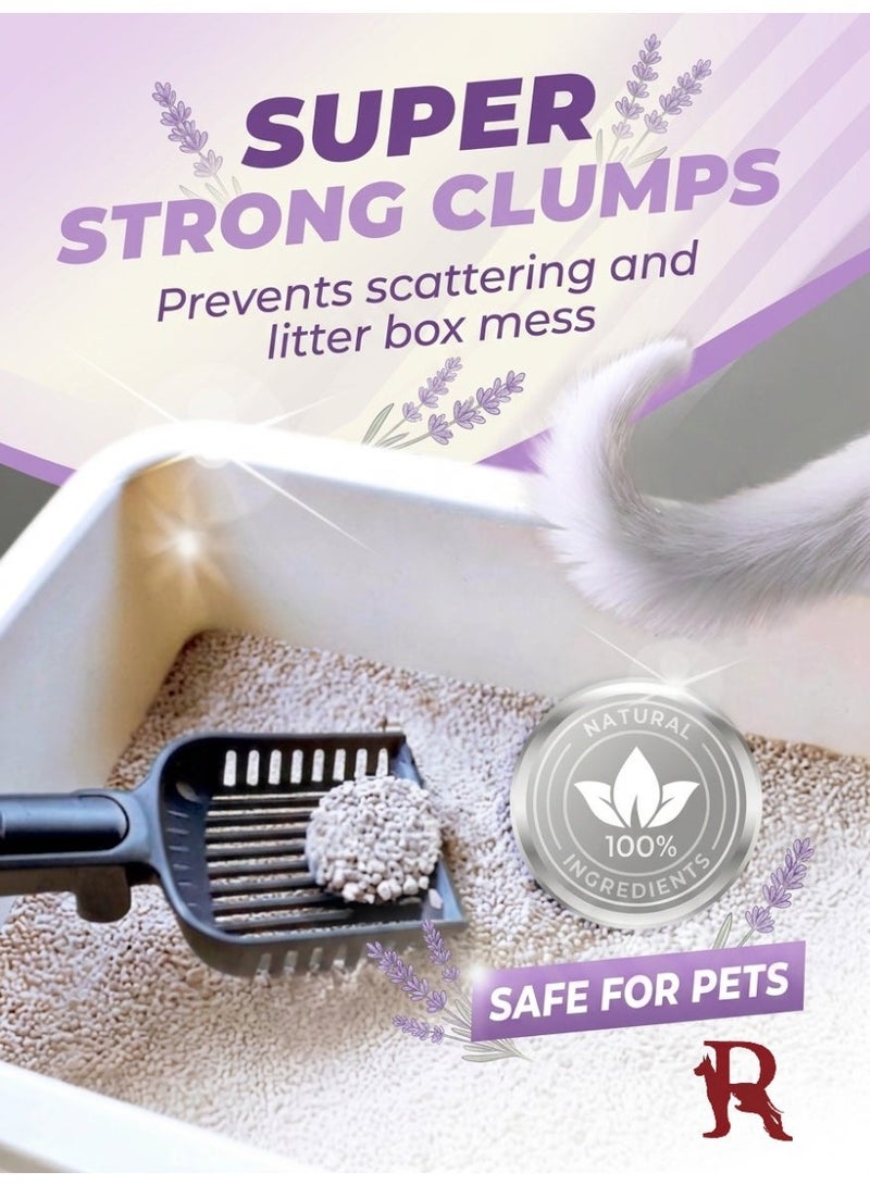 Catmania Premium White Bentonite Clumping Cat Litter Lavender Scent 5L - Image 2
