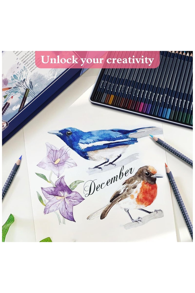 Giorgione Artist Aquarelle Watercolor Pencils (Set of 36) long-watercolor pencils + brush in metal case - Image 4