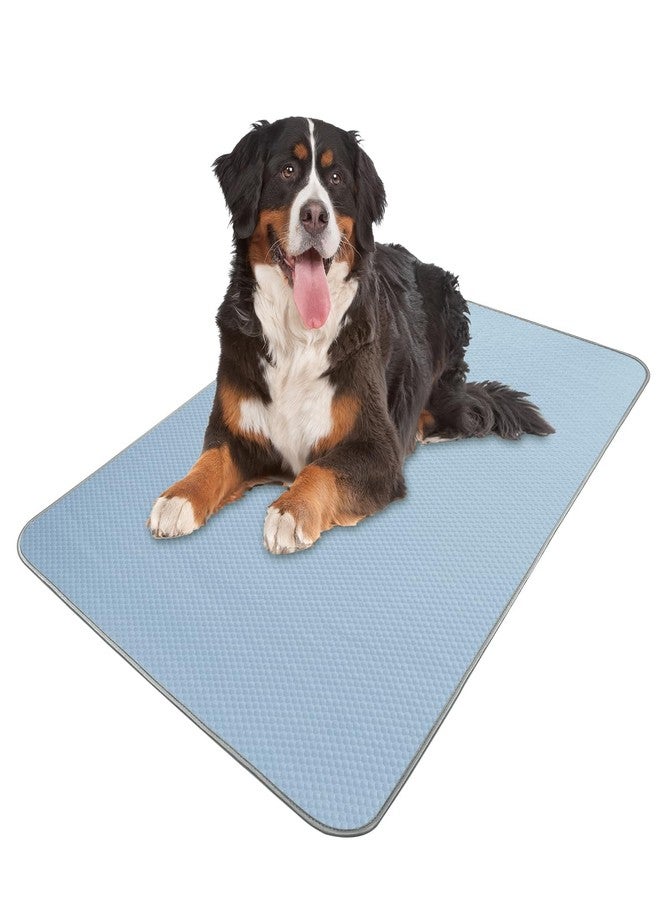 Buvlnee Summer Dog Cooling Mat Washable Ice Silk Self Cool Pad for Large Dogs and Cats, 59x40in Pet Sleeping Pad for Crate, Bed, Indoor & Outdoor Floor, Car Seats - Image 1