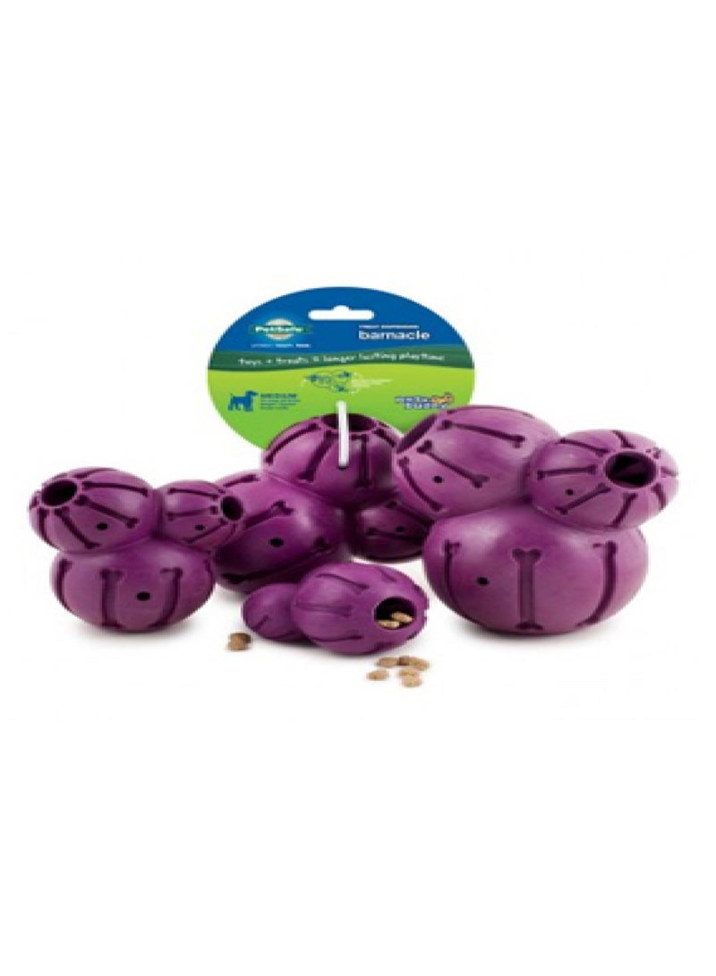 PetSafe Pet Safe Busy Buddy Barnacle- Medium