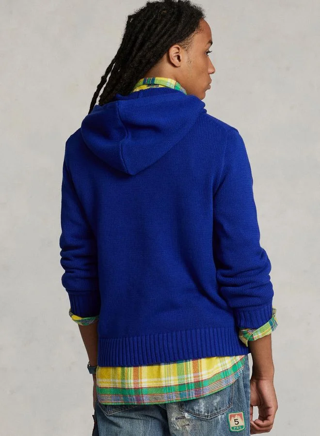 POLO RALPH LAUREN Graphic Hoodie