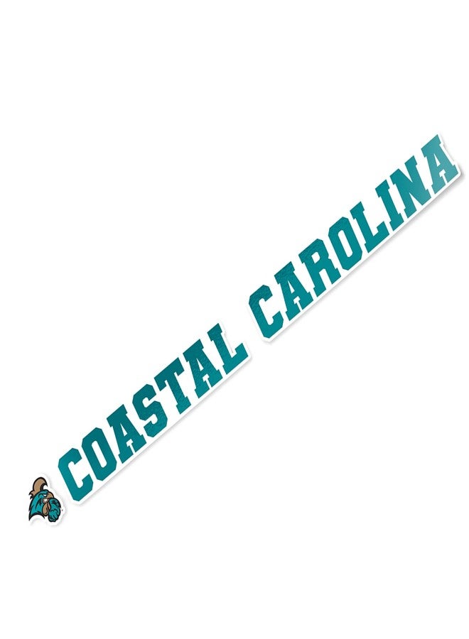 Desert Cactus Coastal Carolina University Chanticleers CCU CINO Name Logo Vinyl Decal Laptop Water Bottle Car Scrapbook (15 Inch Sticker) - Image 1