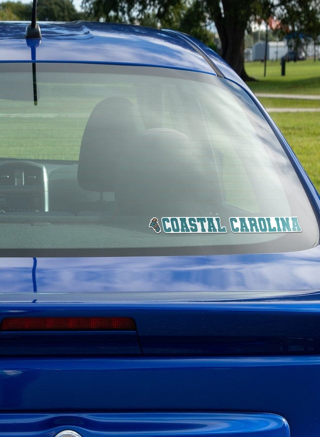 Desert Cactus Coastal Carolina University Chanticleers CCU CINO Name Logo Vinyl Decal Laptop Water Bottle Car Scrapbook (15 Inch Sticker) - Image 5