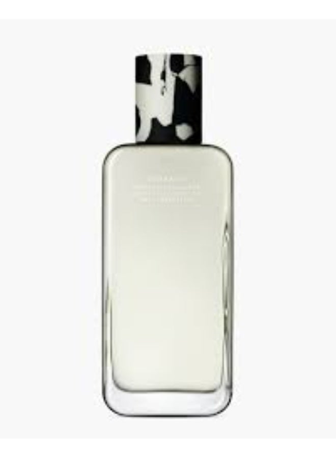 Manasi 7 Botanical Body oil - Aoki 100ml - Image 1