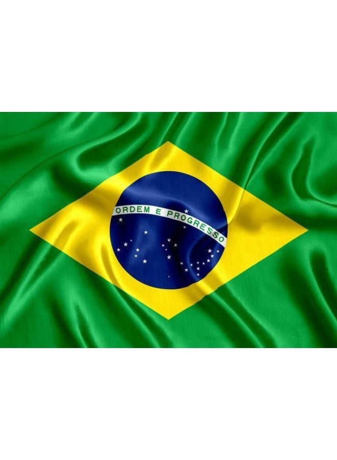 ARS Brazil Flag - Heavy-Duty 210D Satin, Brazil Flag for Outdoor/Indoor, Fade Resistant, Flag Day, And Home-Polyester, Sport Day, FIFA Cup-Size Available - Image 3