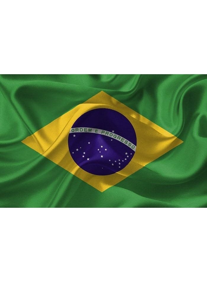 ARS Brazil Flag - Heavy-Duty 210D Satin, Brazil Flag for Outdoor/Indoor, Fade Resistant, Flag Day, And Home-Polyester, Sport Day, FIFA Cup-Size Available - Image 2