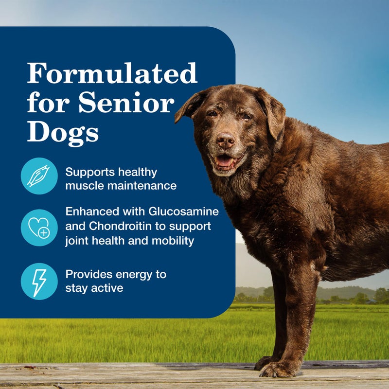 Blue Buffalo Homestyle Recipe Senior Wet Dog Food, Made with Natural Ingredients, Chicken Dinner with Garden Vegetables, 12.5-oz Cans (12 Count) - Image 2