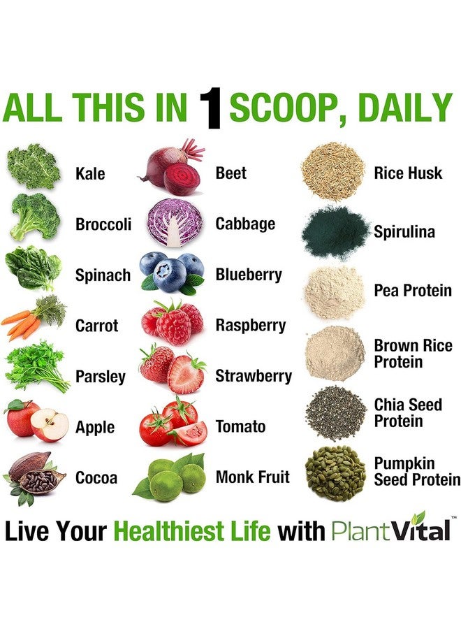 Health & Household Plantvital Vegan Protein Powder Plant Based, Organic Protein Powder Chocolate, 24G/0G Sugar, 12 Superfoods, Veggies, Probiotics, Raw Cocoa, Kale, Beets, Spirulina, Pea, Gluten-Free, Keto-Friendly,16Oz  - Image 2