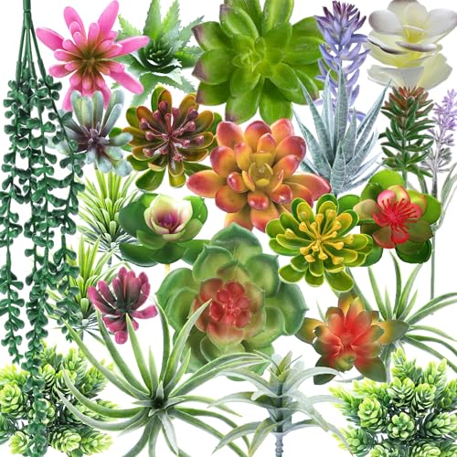 COTSEN 25 Pcs Artificial Succulent Plants Fake Succulents Assorted Unpotted Suitable for Office Garden Interior Decor - Image 1