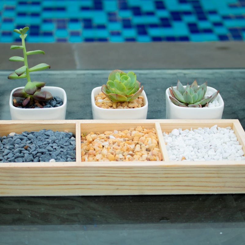 Anothera 18lb White Cactus Pea Gravel Rocks,1/4 Inch Pebbles for Indoor Plants, Natural Succulent Rock and River Rocks Decorative for Aquariums, Vases, Outdoor Gardening, Top Dressing for Potted Plants - Image 2