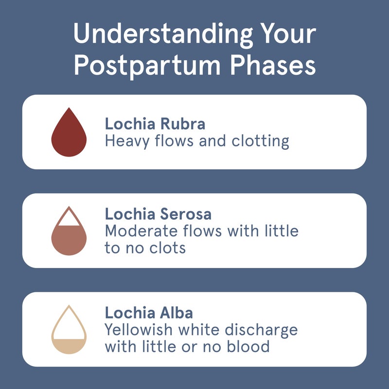 LOLA Organic Cotton Postpartum Pads - Max Absorbency Pads for Postpartum Bleeding - Extra-Long Overnight Liners for Women - Hospital Bag Essentials - 32 Count, Unscented - Image 5