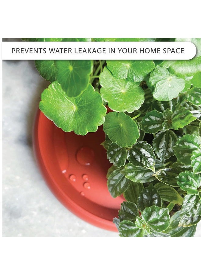 LOOPSEED Plant Saucer 6 Pack Drip Trays Planter Pot Base Heavy Duty Plastic Drainage Tray for Indoor Houseplants Outdoor Garden 5 inch 8 inch 11 inch 3 Sizes 2 Each Round (Terracotta) - Image 3