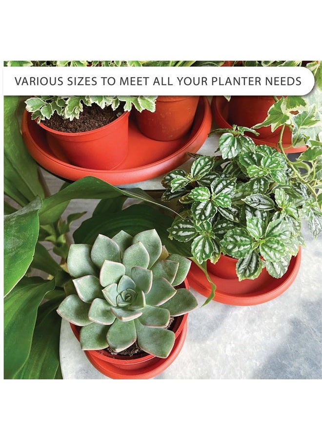 LOOPSEED Plant Saucer 6 Pack Drip Trays Planter Pot Base Heavy Duty Plastic Drainage Tray for Indoor Houseplants Outdoor Garden 5 inch 8 inch 11 inch 3 Sizes 2 Each Round (Terracotta) - Image 5