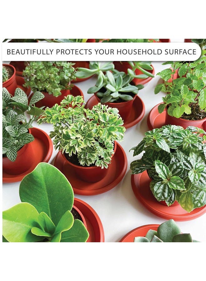 LOOPSEED Plant Saucer 6 Pack Drip Trays Planter Pot Base Heavy Duty Plastic Drainage Tray for Indoor Houseplants Outdoor Garden 5 inch 8 inch 11 inch 3 Sizes 2 Each Round (Terracotta) - Image 2