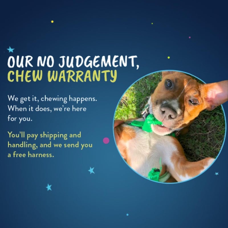 2 Hounds Design Freedom No-Pull Dog Harness with Leash - Large, 1-Inch Wide, Red - Image 5