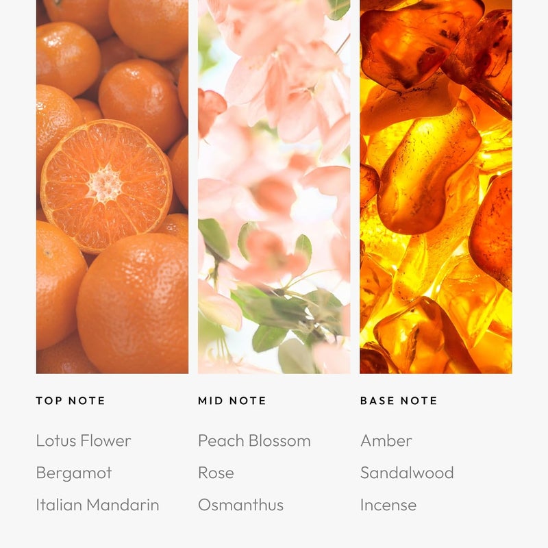Aroma360 | Miami Heat Smart Car Diffuser Oil | Car Aromatherapy Diffuser Essential Oil | Lotus Flower | Italian Mandarin | Peach Blossom & Rose | Amber & Sandalwood | Vegan Diffuser Oil - Image 4