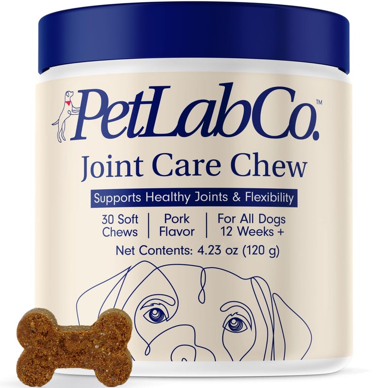 Petlab Co. Joint Care Chews for Dogs - High Levels of Glucosamine, Green Lipped Mussels, Omega 3 and Turmeric - Hip and Joint Supplement for Dogs to Actively Support Mobility, Packaging May Vary - Image 1