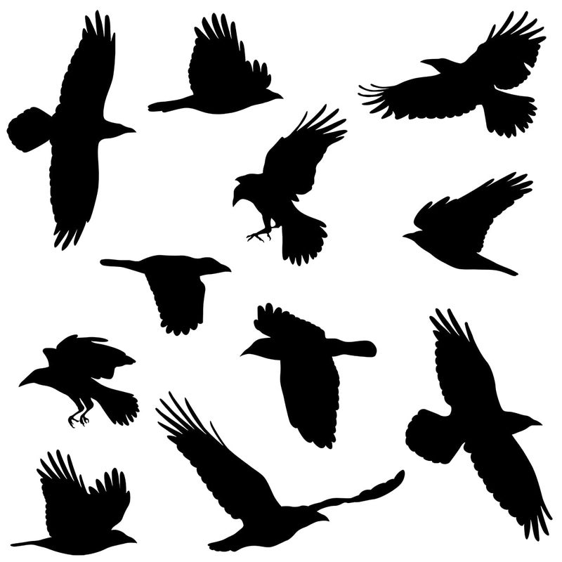 WOYINIS Removable Large Crow Wall Decals Black Raven Wall Stickers Peel & Stick Individual Raven Birds Set Living Room Bedroom Windows Decoration - Image 2