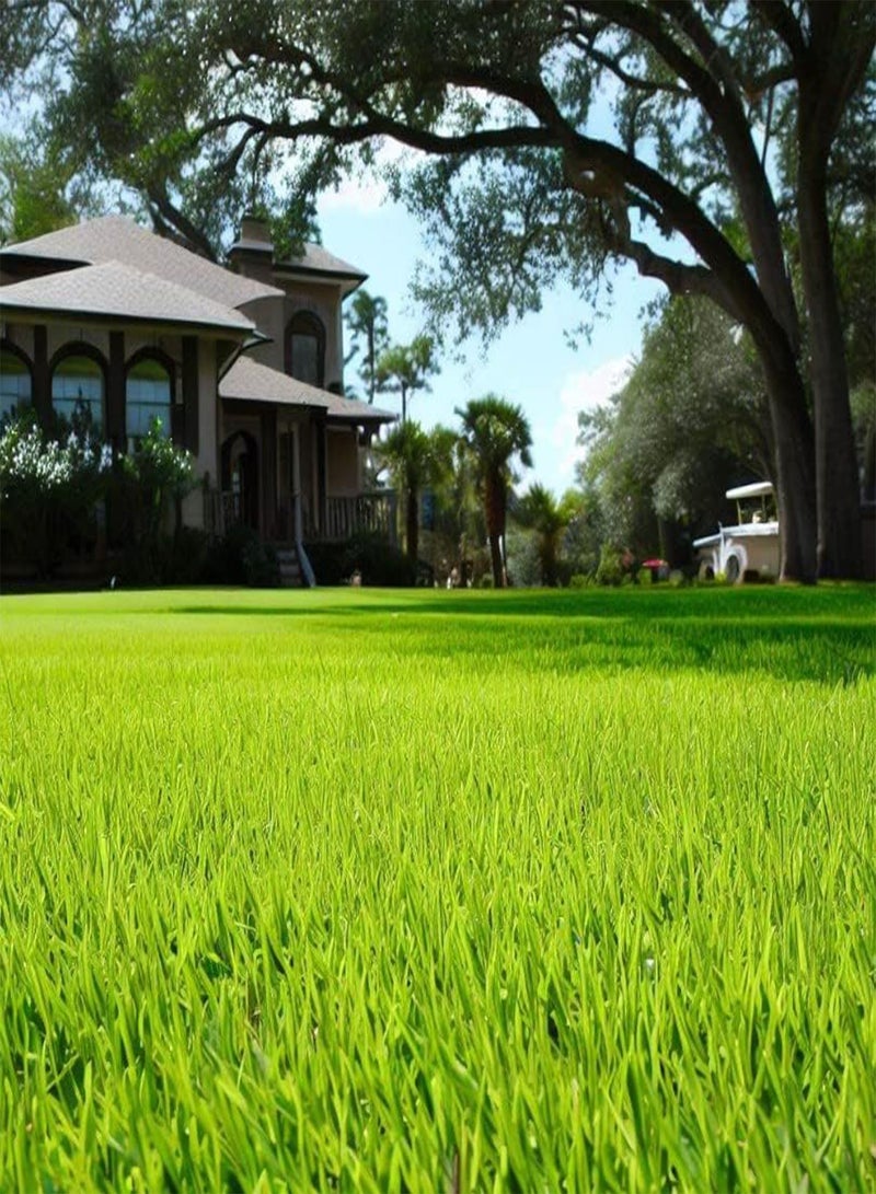 GGOOT Bahia, Bermuda, Grass Seeds for Lawn and Pasture, Livestock Grazing, Choose Color and Amount (10 g, Pensacola Bahia Coated) - Image 2