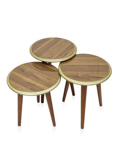 Multi Home Furniture Modern 3-Piece Nesting Table Set – Space-Saving And Elegant Design MH-NT-109-Brown/Golden  - Image 1