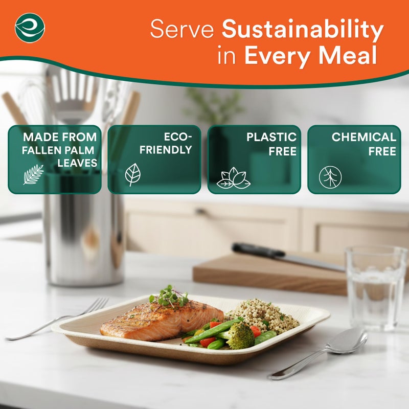 ECO SOUL 10 Inch Disposable Palm Leaf Plates [50 Pack] Premium Food-Safe Heavy Duty Compostable Bamboo Paper Plates for Lunch, Dinner, Birthday, Weddings, Party, Camping & Catering Events [Square] - Image 3