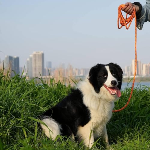HANK Dog Long Leash | 3M Reflective Leash for Large Dogs | Metal Hook | Soft Comfortable Handle | Shockproof Pet Rope (10 Feet Long - Neon Orange) - Image 4