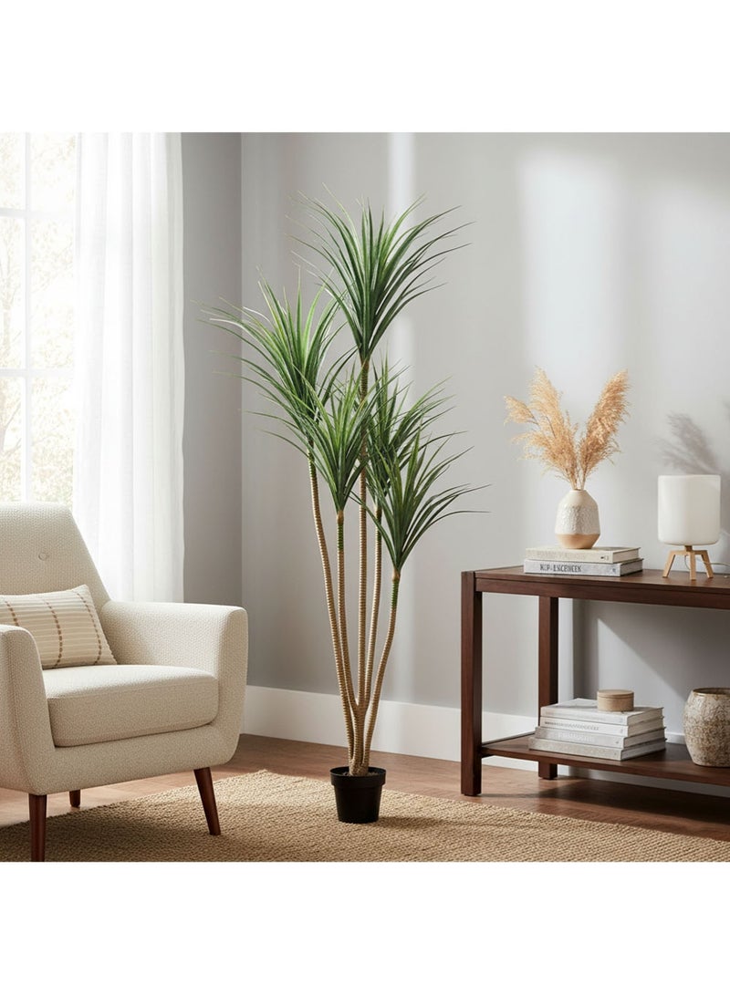 AGD Artificial Dracaena Marginata Tree Plants, 210cm, Realistic Decorative Plants for Office and Home Decor, Green - Image 3