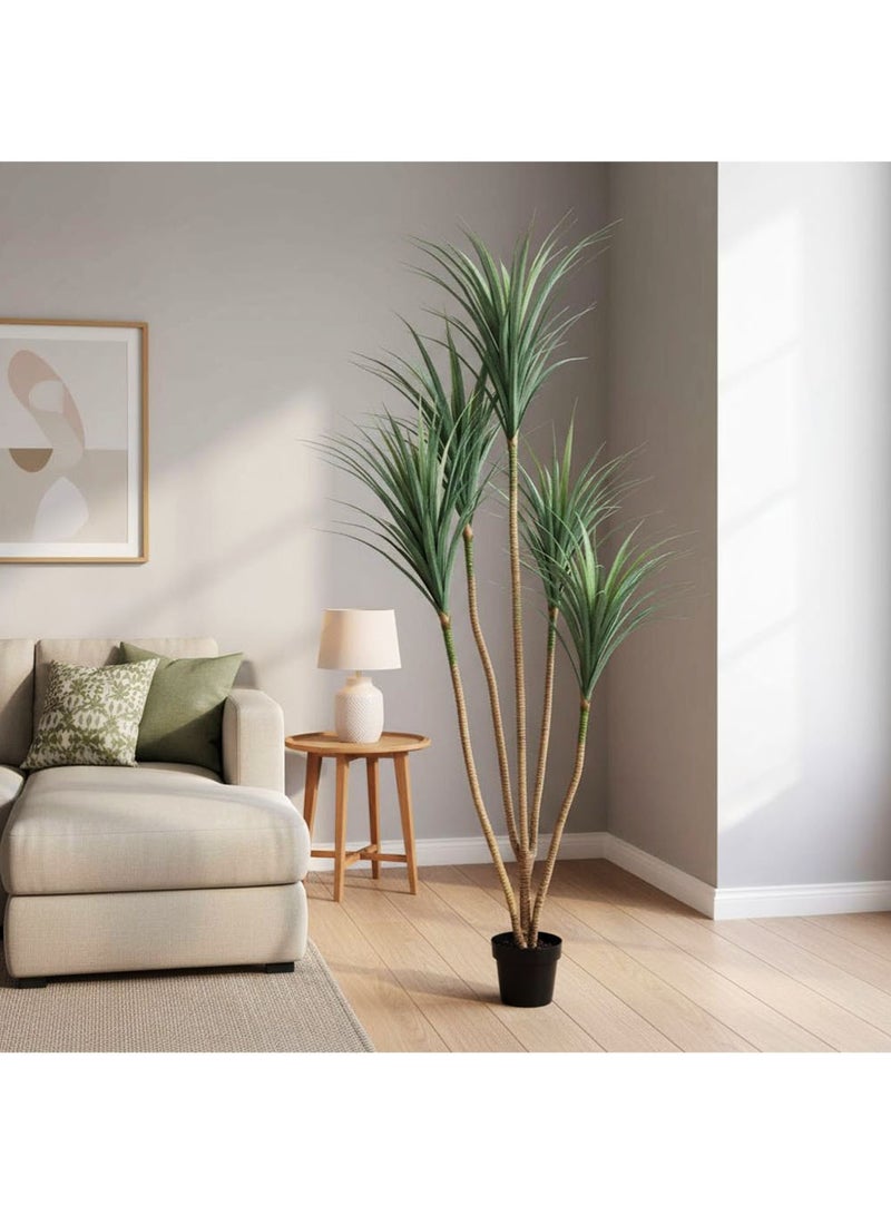 AGD Artificial Dracaena Marginata Tree Plants, 210cm, Realistic Decorative Plants for Office and Home Decor, Green - Image 2