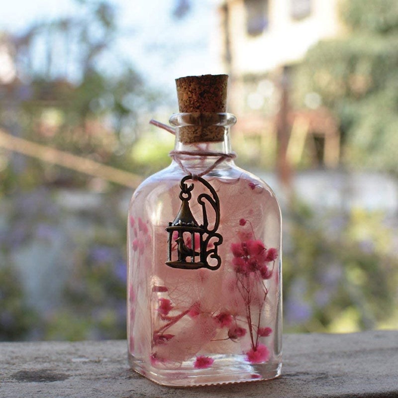 myBageecha Punky Pinks Preserved Tabletop Natural Long Lasting Flower - Image 4