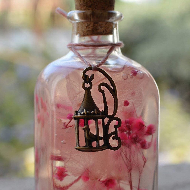 myBageecha Punky Pinks Preserved Tabletop Natural Long Lasting Flower - Image 3