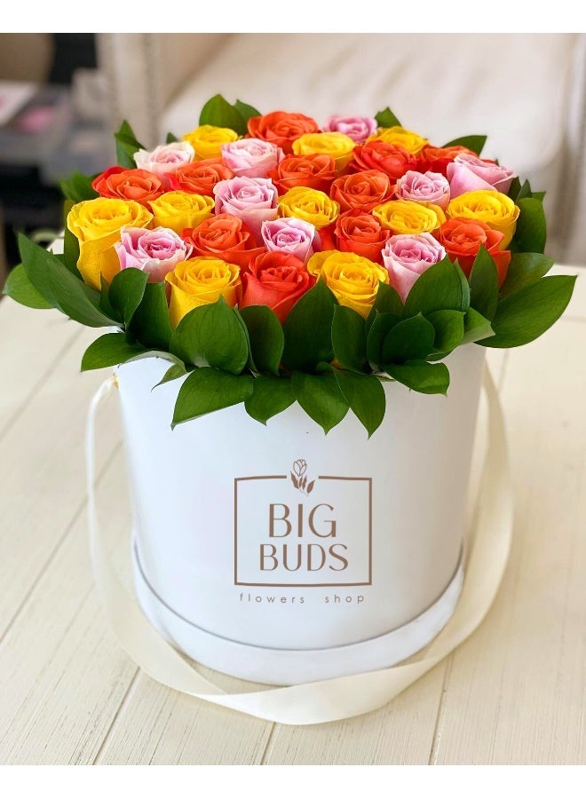 حفلة خريف BBF