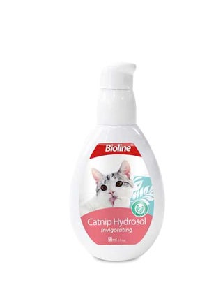 Catnip Hydrosol - 50ml - pzsku/Z5C1950DA9943D15C9857Z/45/_/1697276038/131091ab-a5fc-4c87-9ae9-c934c1c754ae