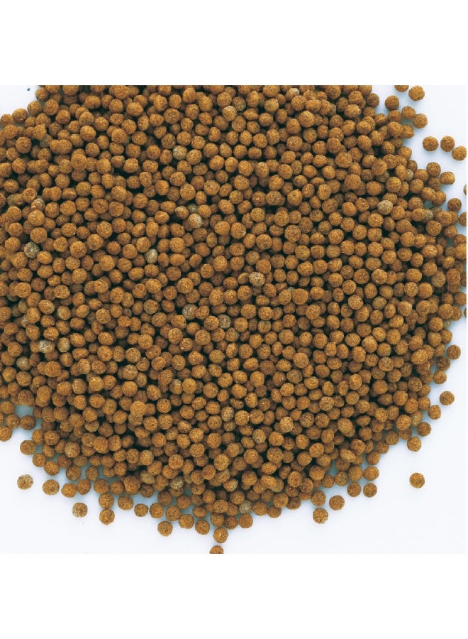 تترا Tetra Goldfish Gold Exotic 250 مل، 80 جم طعام أسماك لحوض السمك، حبيبات كاملة ممتازة مع 28.4% جنين القمح للأسماك الذهبية، تطفو طويلاً، سهلة الهضم، بدون ألوان صناعية - Image 3