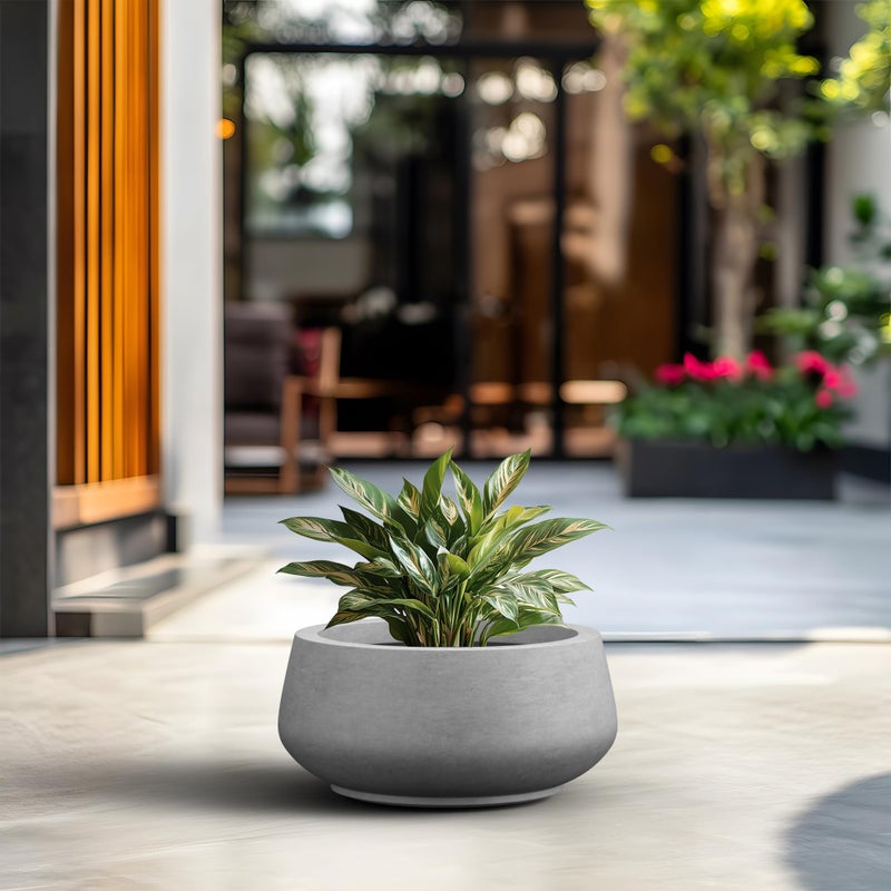 Kante 16.9" Dia Round Concrete Bonsai Planters, Outdoor Indoor Garden Plant Pot with Drainage Hole for Home, Patio, Garden, Concrete Gray - Image 3