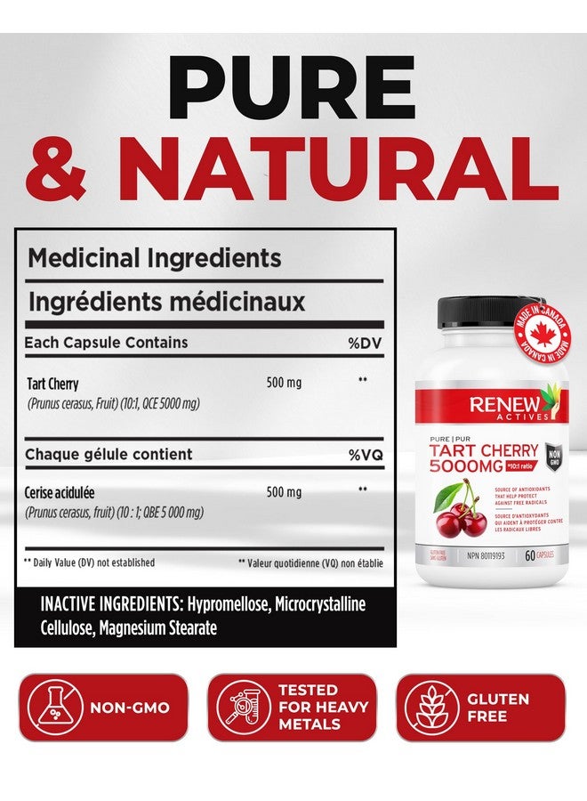 Renew Actives Tart Cherry Extra 500mg per 2 Capsules - High-Potency Antioxidant for Free Radical Protection & Wellness - 60 Easy-to-Swallow Capsules - Made in Canada - Image 4