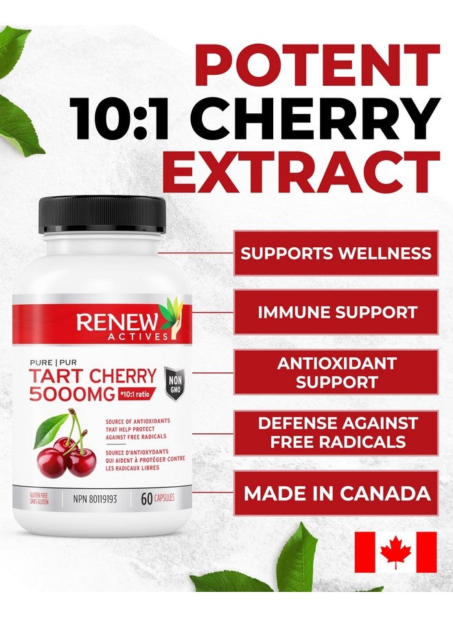 Renew Actives Tart Cherry Extra 500mg per 2 Capsules - High-Potency Antioxidant for Free Radical Protection & Wellness - 60 Easy-to-Swallow Capsules - Made in Canada - Image 2