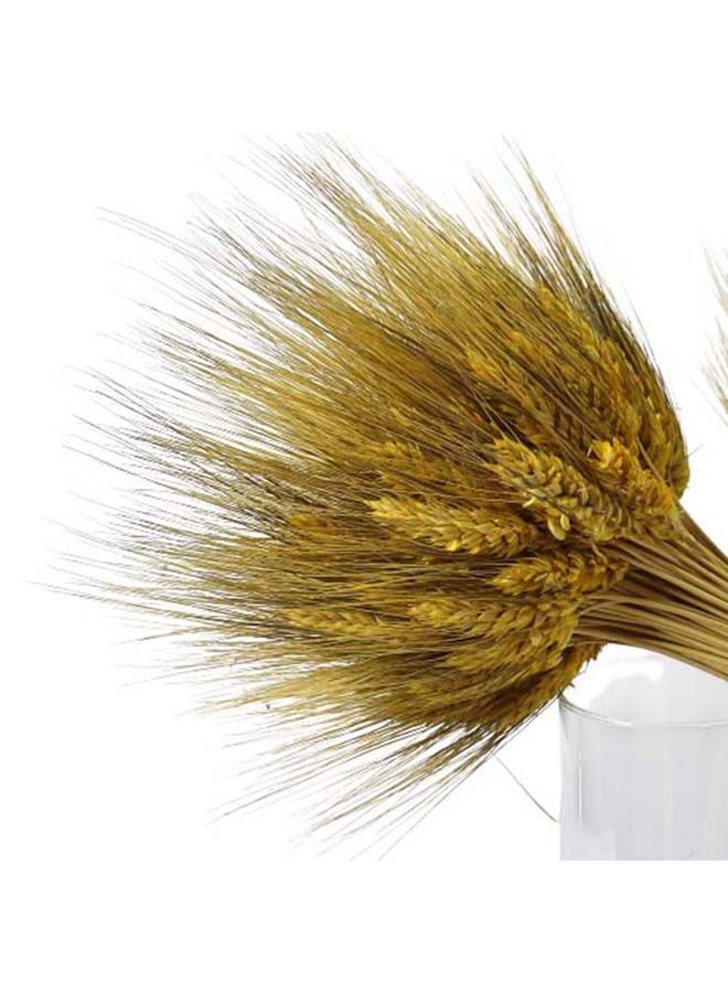 FANCY FLOWERS Dry Wheat Grass Bouquet Natural Dried Flowers (Yellow, 50) - Image 4