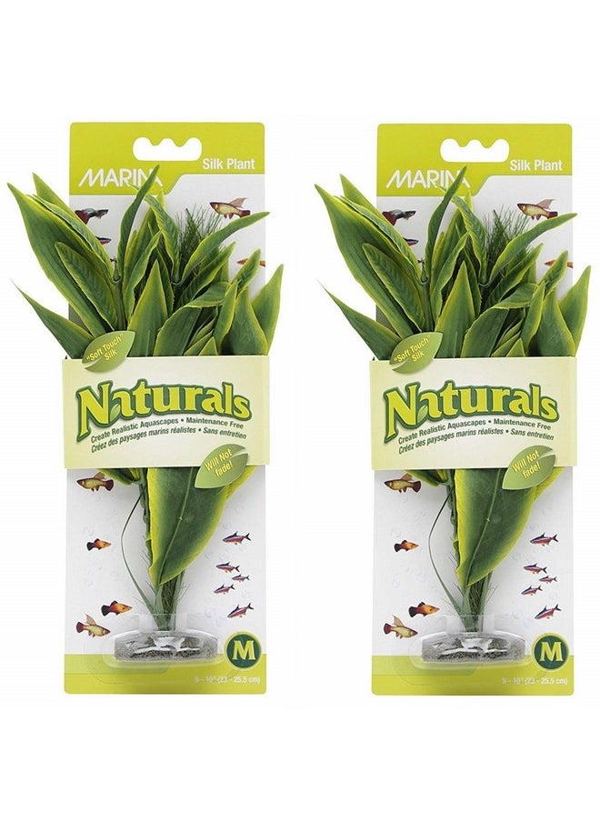 Marina Marina 2 Pack of Naturals Green Dracena Silk Aquarium Plants, Medium, Safe and Fade-Resistant 