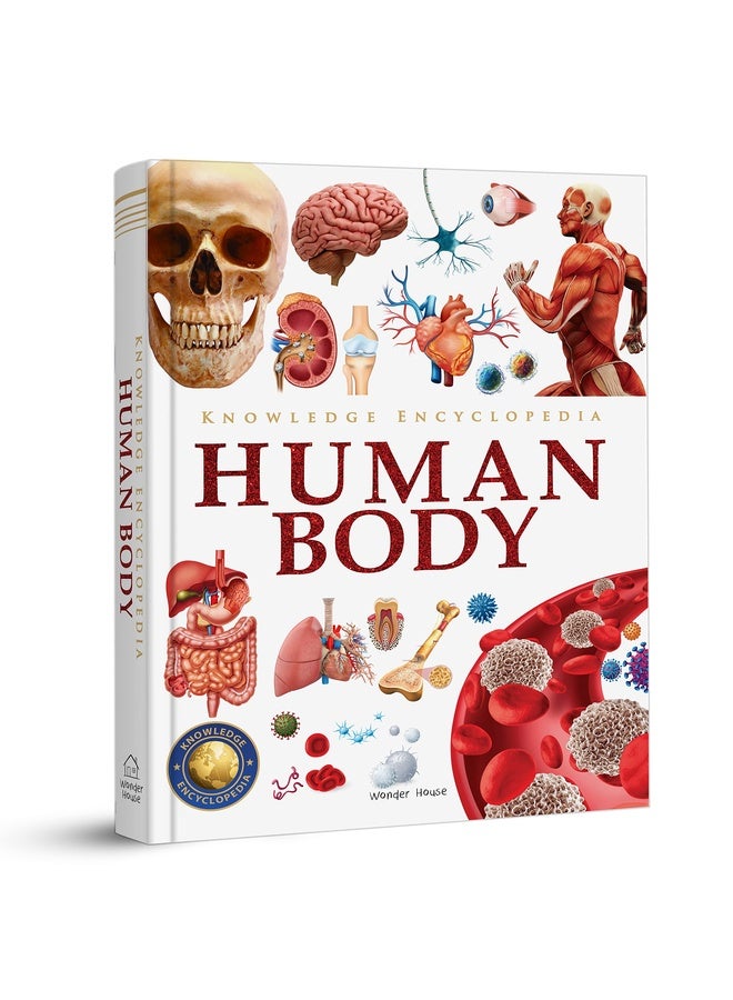 Knowledge Encyclopedia - Human Body