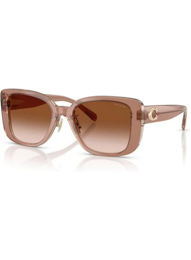 COACH Square Sunglasses