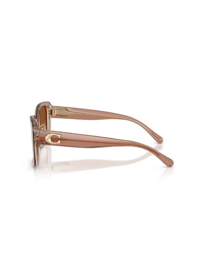 COACH Square Sunglasses