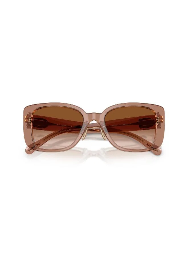 COACH Square Sunglasses