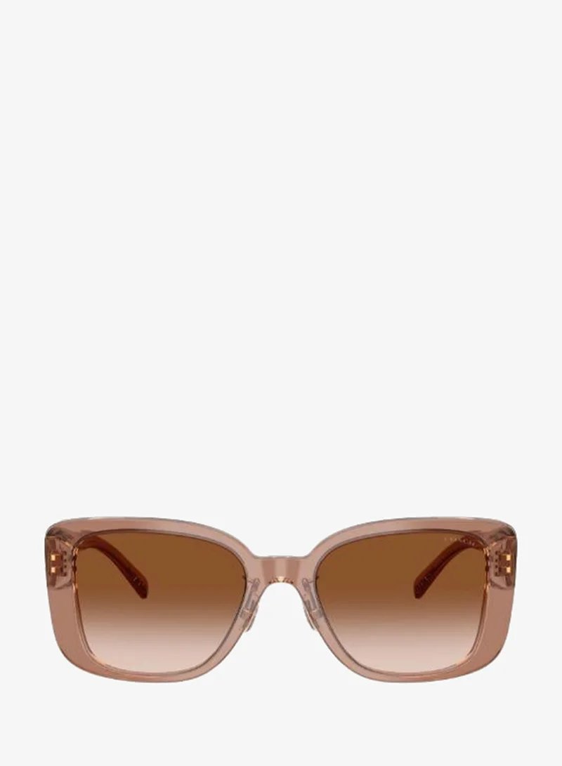 Square Sunglasses